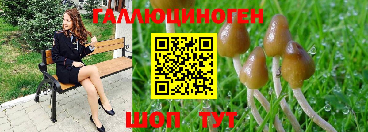 Галлюциногенные грибы мухоморы Кирово-Чепецк